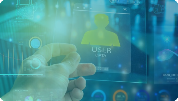 User Roles and Access